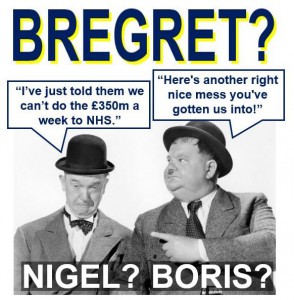 Bregret-regreting-voting-for-Brexit